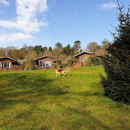 Rudyard Lake Lodges Exterior photo