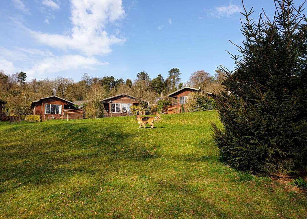 Rudyard Lake Lodges Exterior photo